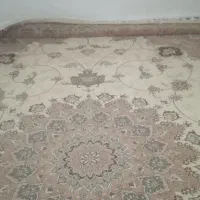 فرش ۱۲ متری و ۶ متری|فرش|کرج, ساسانی (قلمستان)|دیوار