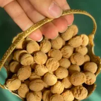 سوغات یزد باستان در قم|خوردنی و آشامیدنی|قم, نخودی|دیوار