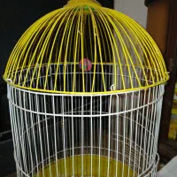 یک عدد قفس مطابق شکل