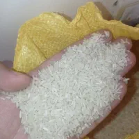 جشنواره فروش برنج سرلاشه طارم به قیمت سر شالیزار|خوردنی و آشامیدنی|اراک, |دیوار