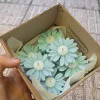 شمع گل بابونه