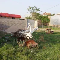 زمین واقع در ۲۰ متری جامی نزدیک چهار راه عرفان|فروش زمین و ملک کلنگی|کلاله, |دیوار