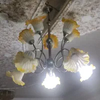 لوستردرحدنو