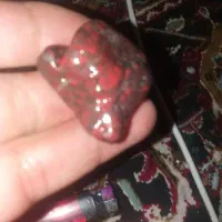 جواهراوپال