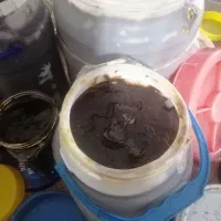 رب الوچه لاهیجان