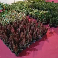 فروشندگی در نمایشگاه بین‌المللی ارومیه پارک جنگلی|استخدام بازاریابی و فروش|ارومیه, |دیوار