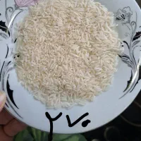 برنج هاشمی متفاوت چون بدون سم کشت میکنیم|خوردنی و آشامیدنی|رشت, بازار|دیوار