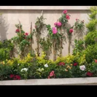 خدمات باغبانی باغچه کاری گل کاری تعویض خاک گلدان|خدمات باغبانی و درختکاری|اسلام‌شهر, شهرک احمدیه|دیوار