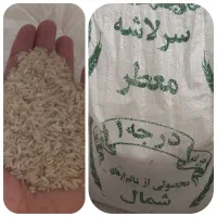 سرلاشه درجه یک شمال