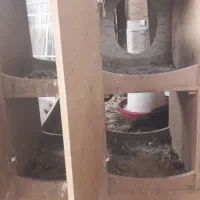 مرغ وخروس با قفس|حیوانات مزرعه|اسلام‌شهر, شهرک صنعتی چیچکلو|دیوار