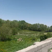 زمین مسکونی و باغی بر خیابان شقایق زیر قیمت|فروش زمین و ملک کلنگی|قیدار, |دیوار
