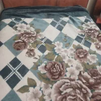 تخت تک نفره|تخت و سرویس خواب|شیراز, اصلاح‌نژاد|دیوار