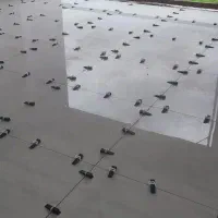 کاشی کاری|خدمات پیشه و مهارت|رشت, حمیدیان|دیوار