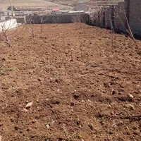 خدمات کشاورزی چالکود تیلر سم پاش کود حیوانی|خدمات باغبانی و درختکاری|سنندج, |دیوار
