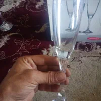 لیوان  پایه دار|ظروف سرو و پذیرایی|کرج, کیانمهر|دیوار