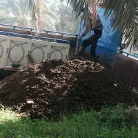کود گاوی پوسیده درجه یک
