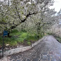 زمین-اماده-ساخت