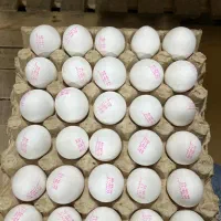 تخم مرغ سفید|خوردنی و آشامیدنی|قزوین, |دیوار