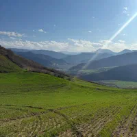 کود اوره ریز بجنورد