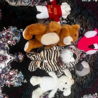 اسباب‌بازی|اسباب‌بازی بچه|پرند, فاز ۶|دیوار