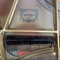 پیانوی گرند یاماها (Yamaha C5B)|پیانو، کیبورد، آکاردئون|یزد, |دیوار