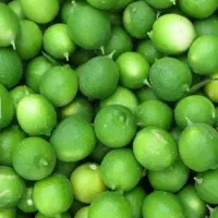 لیمو ترش