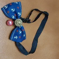 قلاده سگ و گربه