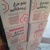 تخم مرغ زرده طلایی