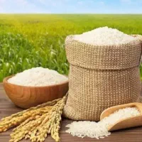 برنج صدری هاشمی درجه یک اقساطی