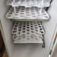 دستگاه جوجه کشی ۱۶۲تایی (خانگی)|لوازم جانبی حیوانات|ماسال, |دیوار