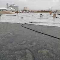 ایزوگام
