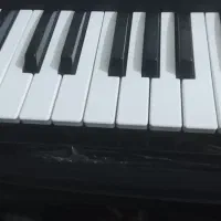 گروه نی همونه بندرعباس