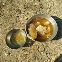 عسل|حراج|فولادشهر, B1|دیوار