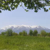 فروش-یک-قواره-زمین-حدود-1000-متر