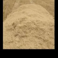 کاه گندم مال کردستان