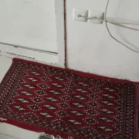 پادری در ابعاد مختلف|فرش|قم, زنبیل آباد|دیوار