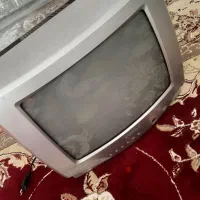 تلویزیون|تلویزیون و پروژکتور|قزوین, |دیوار