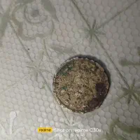 سکه زیرخاکی