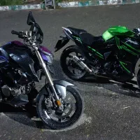 مگلی 403 باک سبز