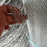 فنس پاکدشت|خدمات باغبانی و درختکاری|پاکدشت, پاکدشت (مامازند)|دیوار