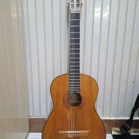 گیتار وفایی MVX