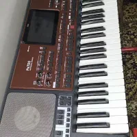 اورگpa700 اورینتال آکبند