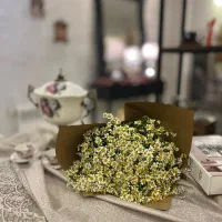 عکاسی تولد و‌سالگرد ازدواج