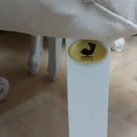 ۲ عدد صندلی استیل با کیفیت|مبلمان خانگی و میز عسلی|رشت, رشتیان|دیوار