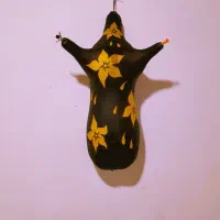 نی انبان|سازهای بادی|شیراز, آزادی|دیوار