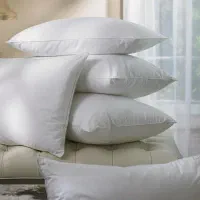 ۶ تا بالش پر