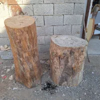 تنه درخت کاج|عمده‌فروشی|تهران, یافت آباد جنوبی|دیوار