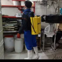 سمپاشی حشرات100%تضمینی ضمانت گل حشرات سوسک ساس بید