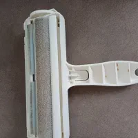 پرزگیر  مخرندار