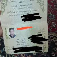 شناسنامه گم کردم به نام علی شادروان